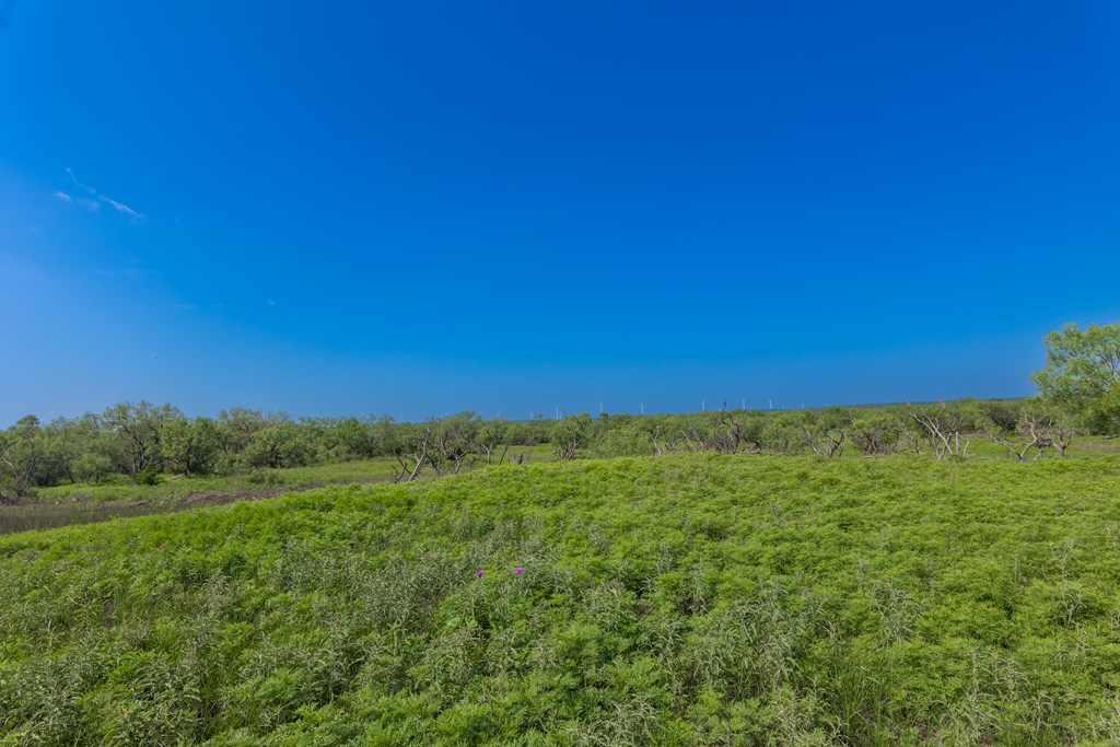 88291 Suaa Rd Well Lohn, TX 76852 - Photo 40 of 48 a view of a green field with lots of bushes