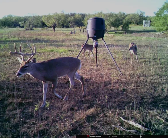 a house view with a lake view
