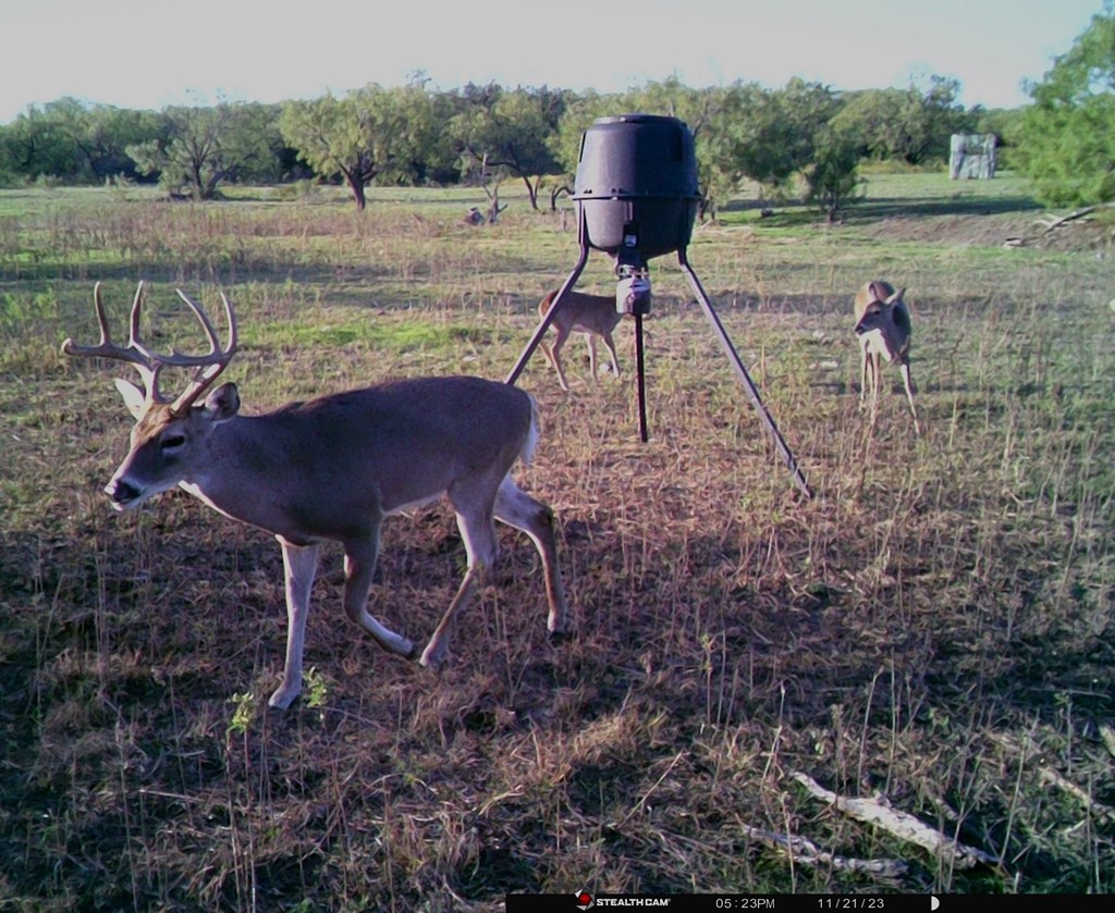 88291 Suaa Rd Well Lohn, TX 76852 - Photo 4 of 48 a house view with a lake view