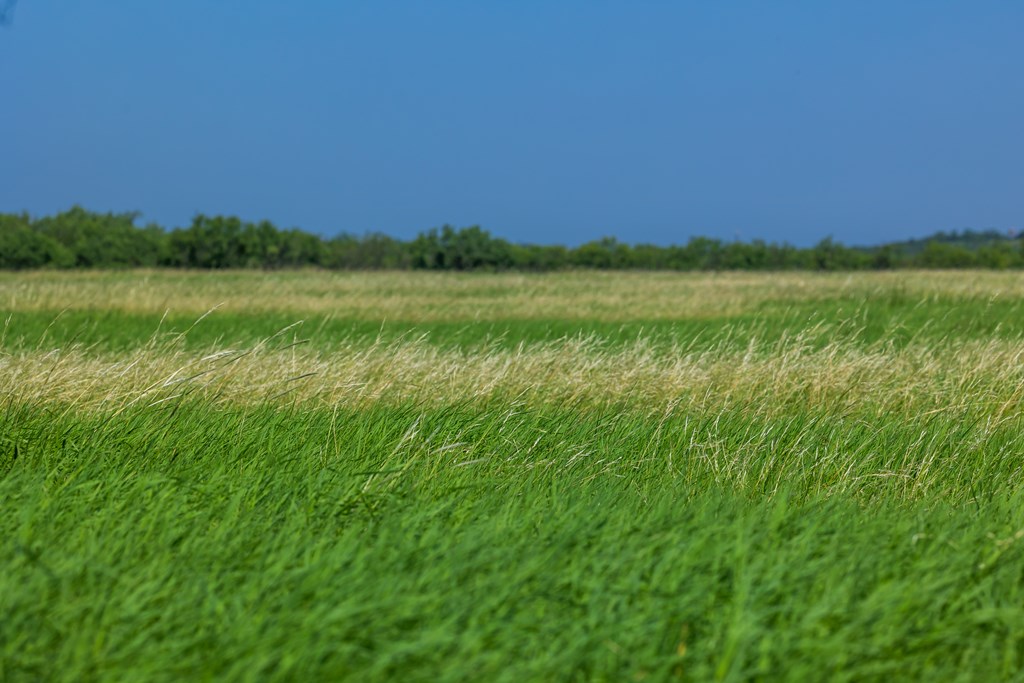88291 Suaa Rd Well Lohn, TX 76852 - Photo 45 of 48 a view of a lake and a yard