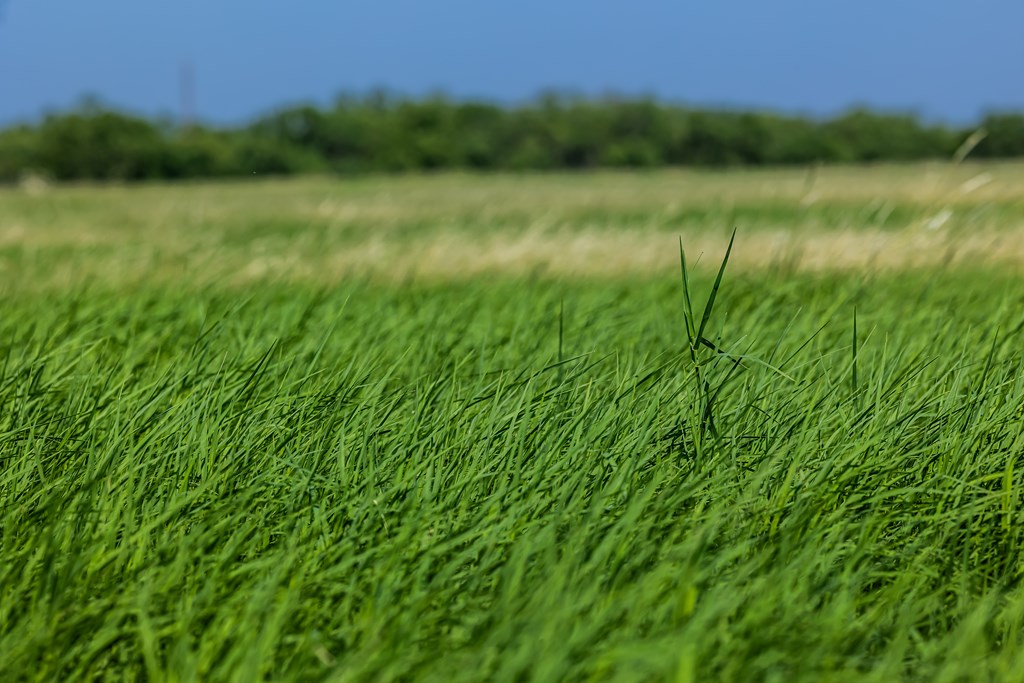 88291 Suaa Rd Well Lohn, TX 76852 - Photo 46 of 48 a view of a lake and green valley