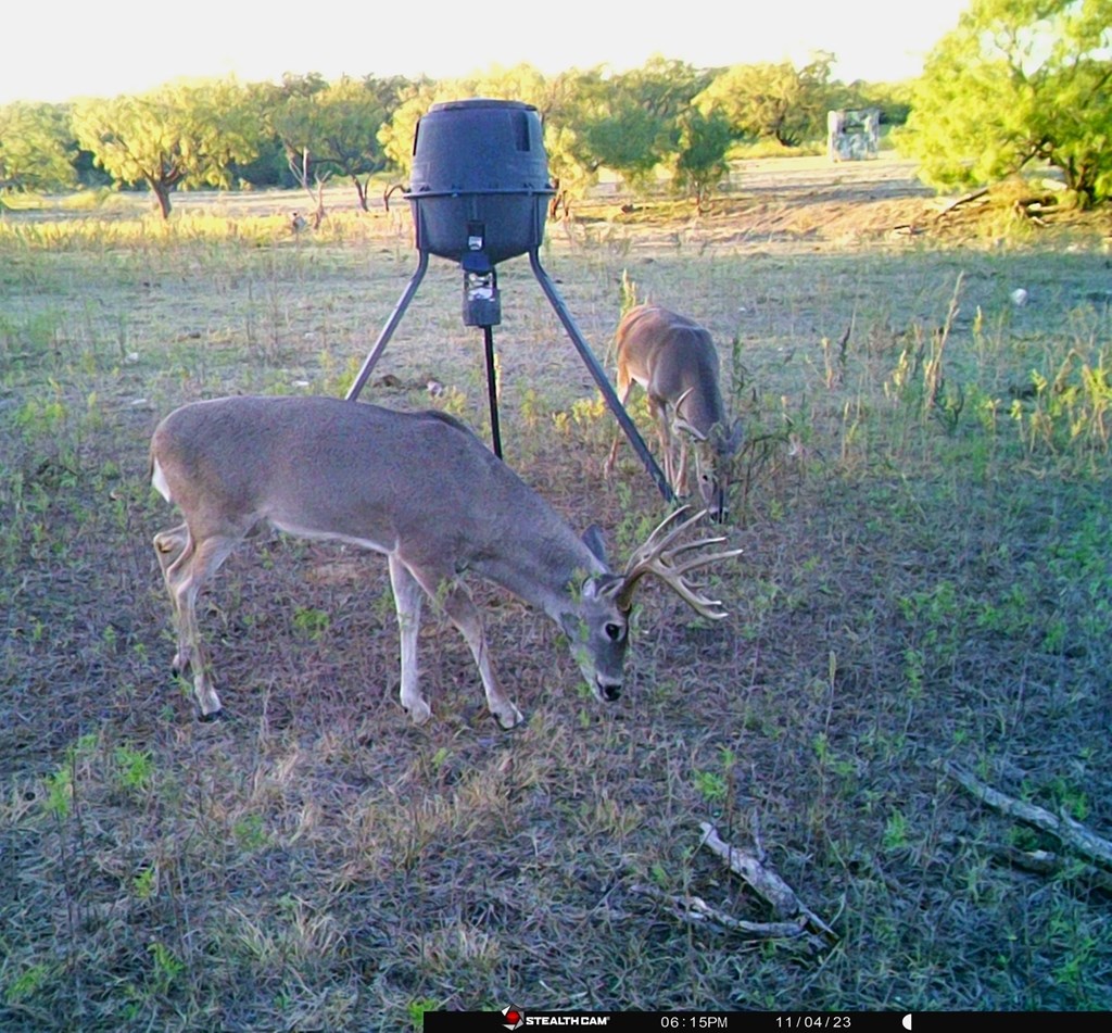 88291 Suaa Rd Well Lohn, TX 76852 - Photo 7 of 48 a view of a lake in middle of the green field