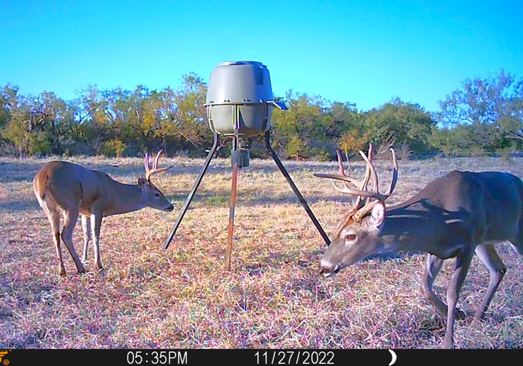 88291 Suaa Rd Well Lohn, TX 76852 - Photo 10 of 48 a view of a yard with table and chairs
