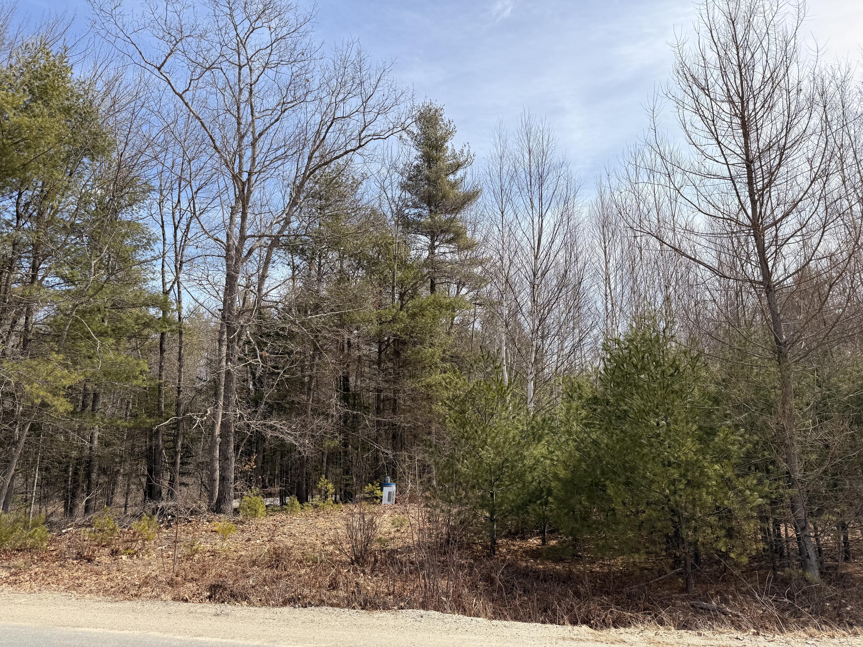 Lot #5 Mohawk Road Enfield, ME 04493 - Photo 3 of 7
