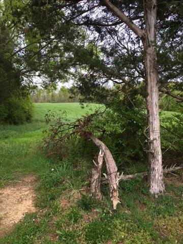 2693 Campbell Bridge Road Cleveland, TN 37312 - Photo 21 of 22 22