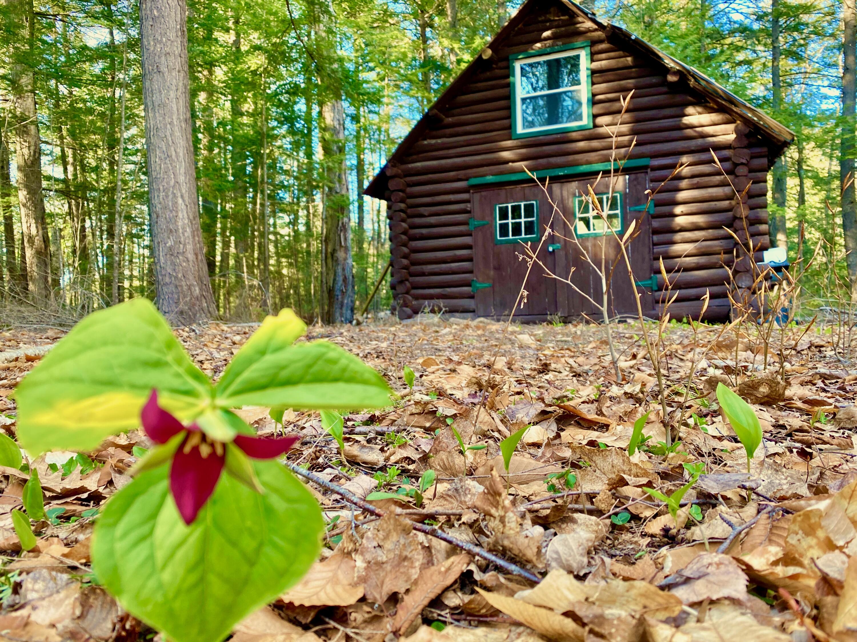 19 A Long Acres Road Mount Vernon, ME 04352 - Photo 1 of 49 CABIN