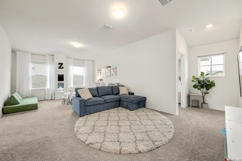 a living room with furniture and a potted plant
