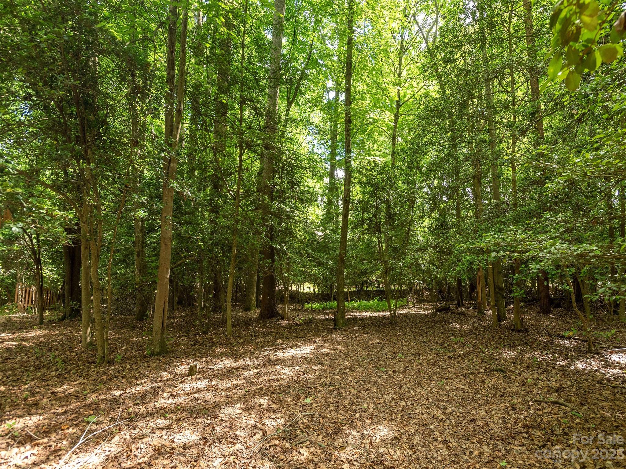 1983 Brevard Road Arden, NC 28704 - Photo 32 of 35 Gallery Image 32