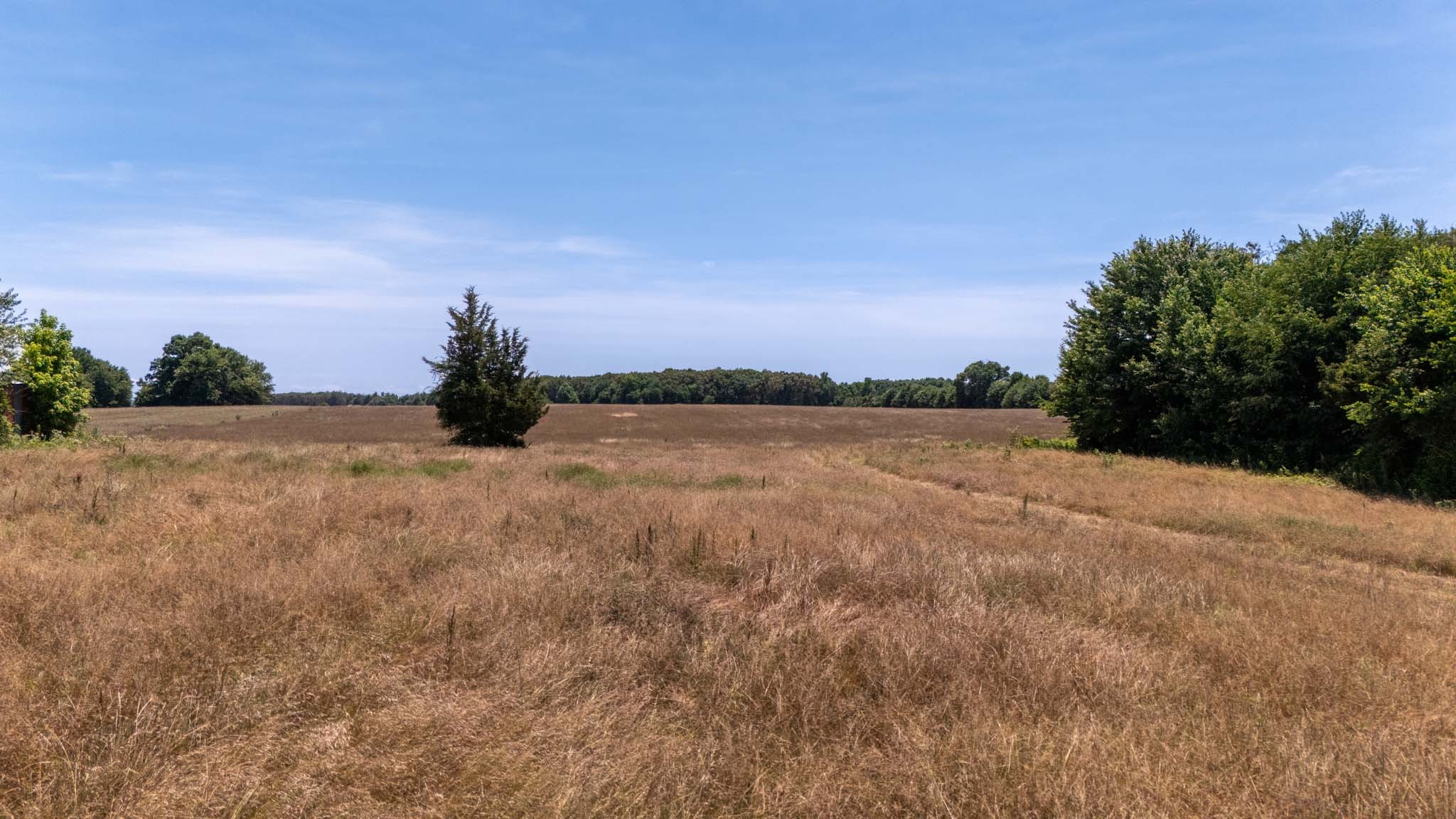 0 Brown Road Woodbury, TN 37190 - Photo 32 of 34