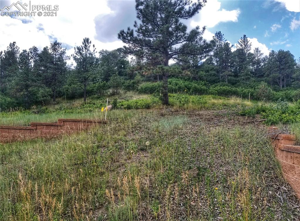 45 West Woodmen Road Colorado Springs, CO 80919 - Photo 1 of 8