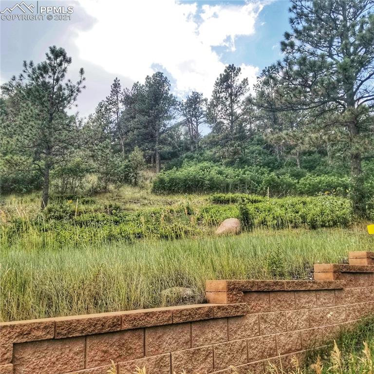 45 West Woodmen Road Colorado Springs, CO 80919 - Photo 2 of 8