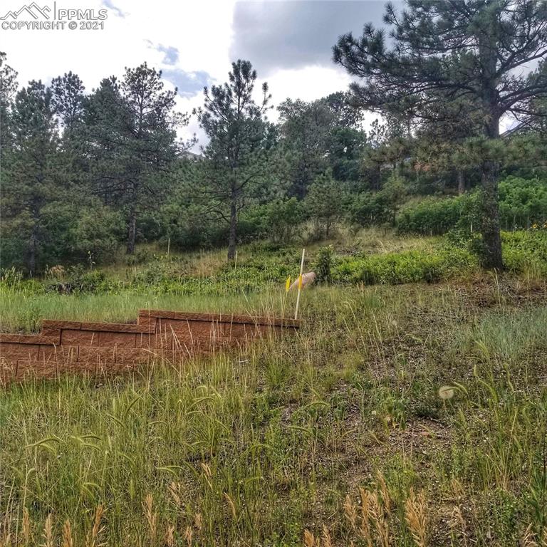 45 West Woodmen Road Colorado Springs, CO 80919 - Photo 3 of 8