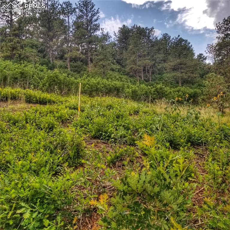 45 West Woodmen Road Colorado Springs, CO 80919 - Photo 4 of 8