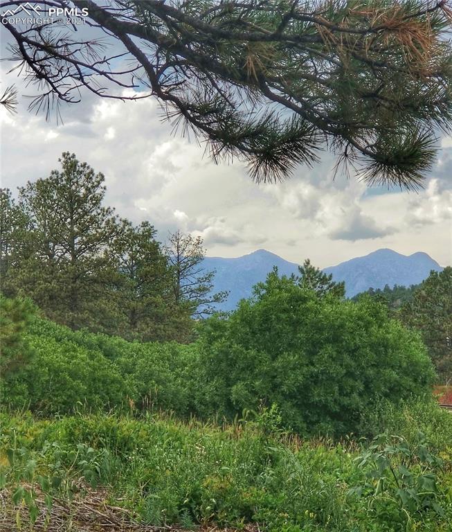 45 West Woodmen Road Colorado Springs, CO 80919 - Photo 6 of 8