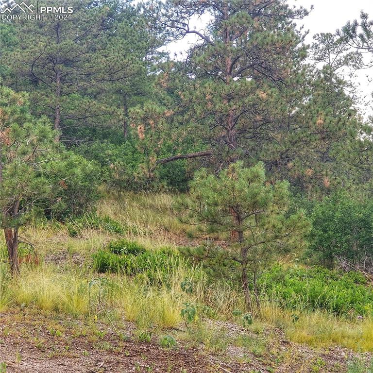45 West Woodmen Road Colorado Springs, CO 80919 - Photo 7 of 8