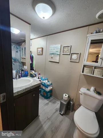 a bathroom with a sink mirror vanity and toilet