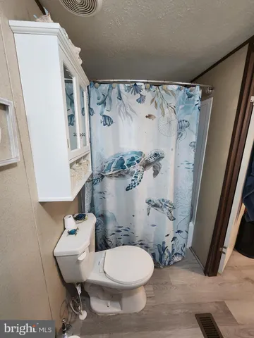 a white toilet sitting next to a shower curtain