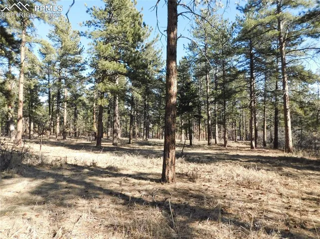 $264,900 | 5845 Pike Drive, Larkspur, CO 80118