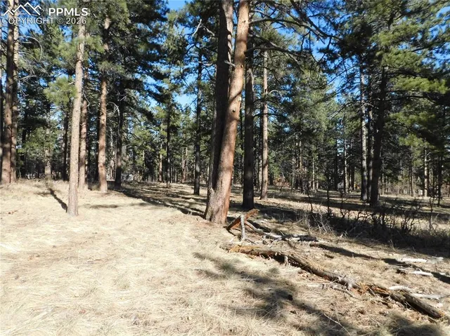 $264,900 | 5845 Pike Drive, Larkspur, CO 80118