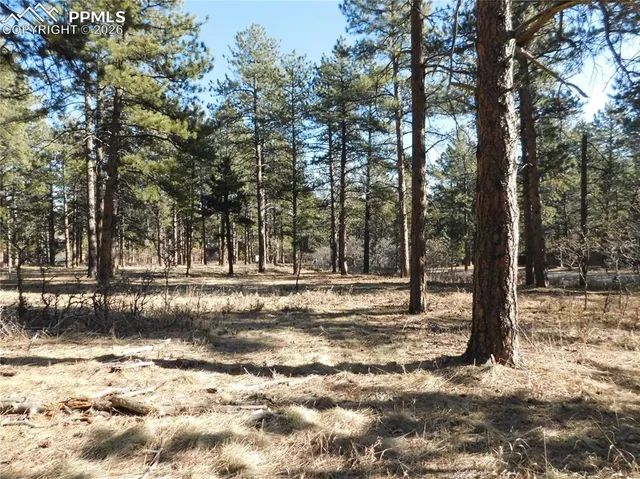 $264,900 | 5845 Pike Drive, Larkspur, CO 80118