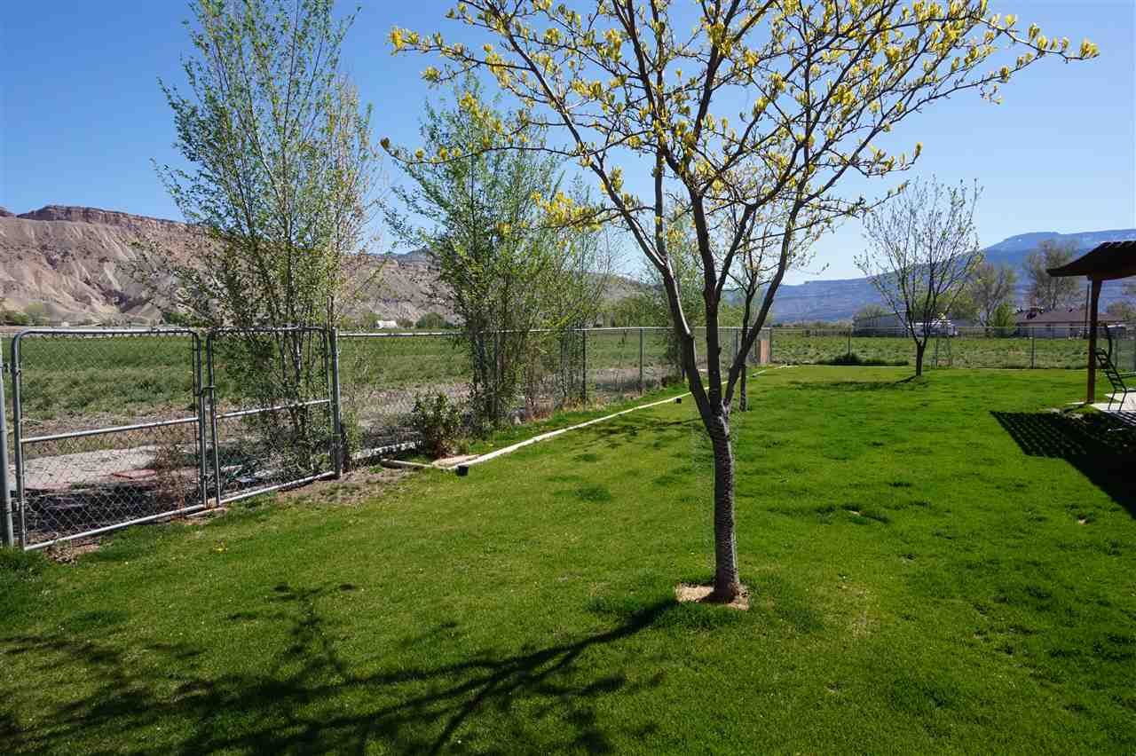 3506 G Road Palisade, CO 81526 - Photo 14 of 29 Gallery Image 14