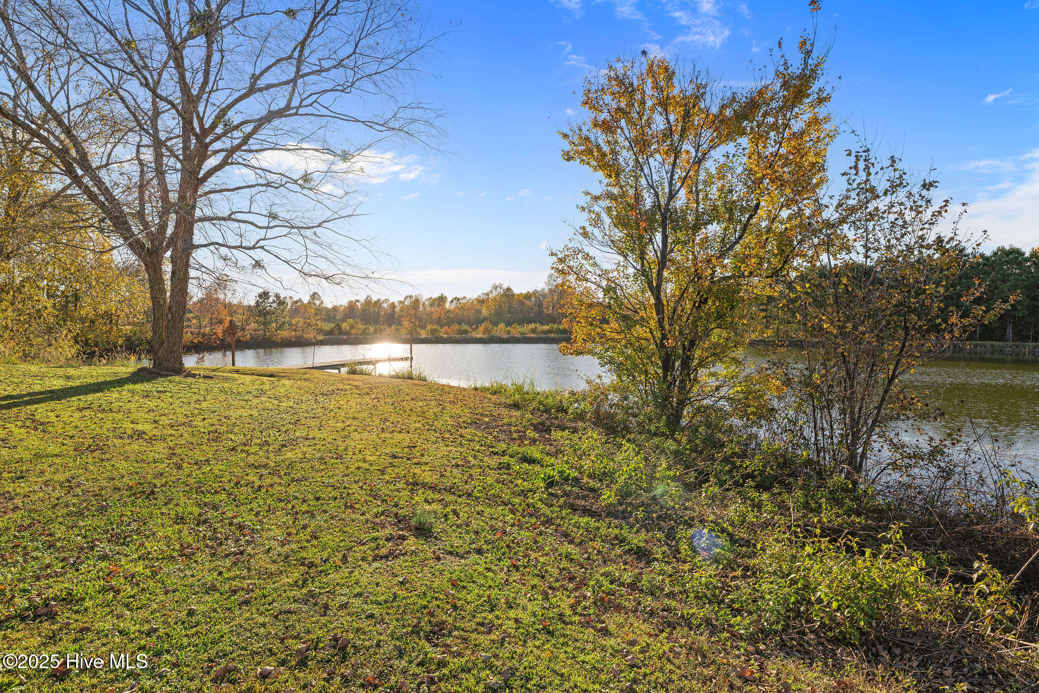 625 Garner Chapel Road Mount Olive, NC 28365 - Photo 16 of 33 5T5A8401