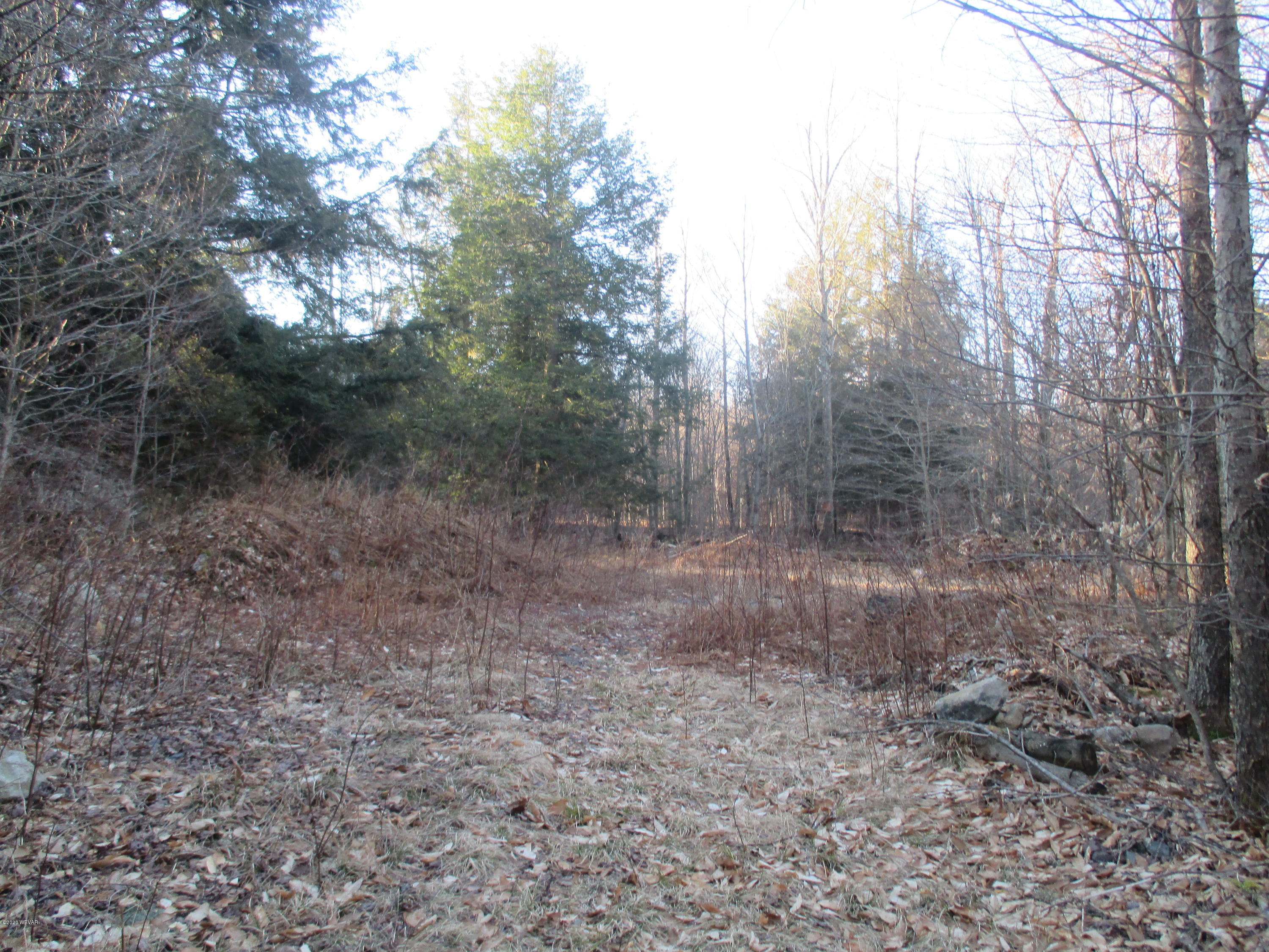0 James Road, Unit LOT 22 Dushore, PA 18614 - Photo 3 of 6 IMG_2379
