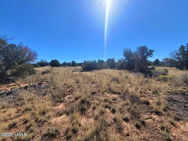 $10,000 | 4331 Greeley Drive, Unit 278, Williams, AZ 86046