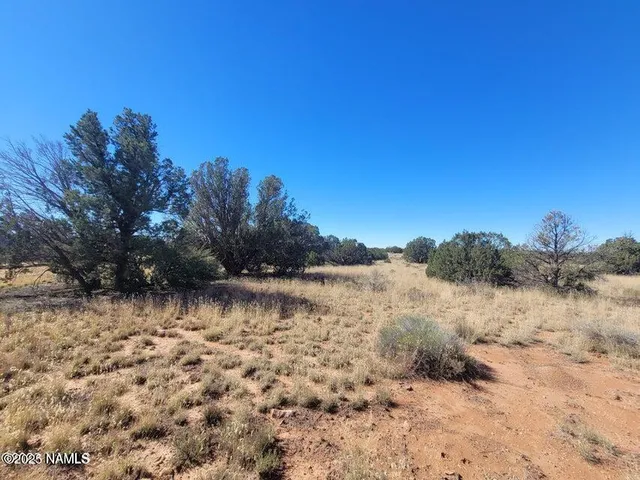 $10,000 | 4331 Greeley Drive, Unit 278, Williams, AZ 86046