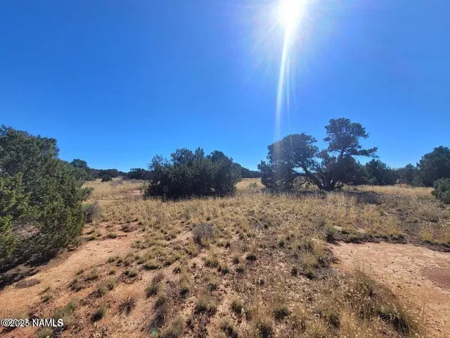 $10,000 | 4331 Greeley Drive, Unit 278, Williams, AZ 86046