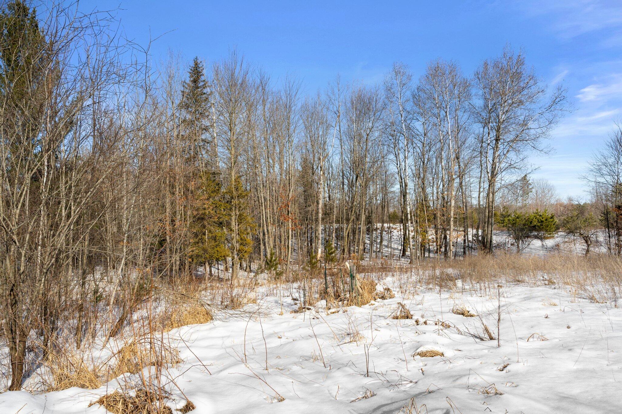 5157 East 12 1/2 Road Manton, MI 49663 - Photo 16 of 25 15-web-or-mls-DSC03687