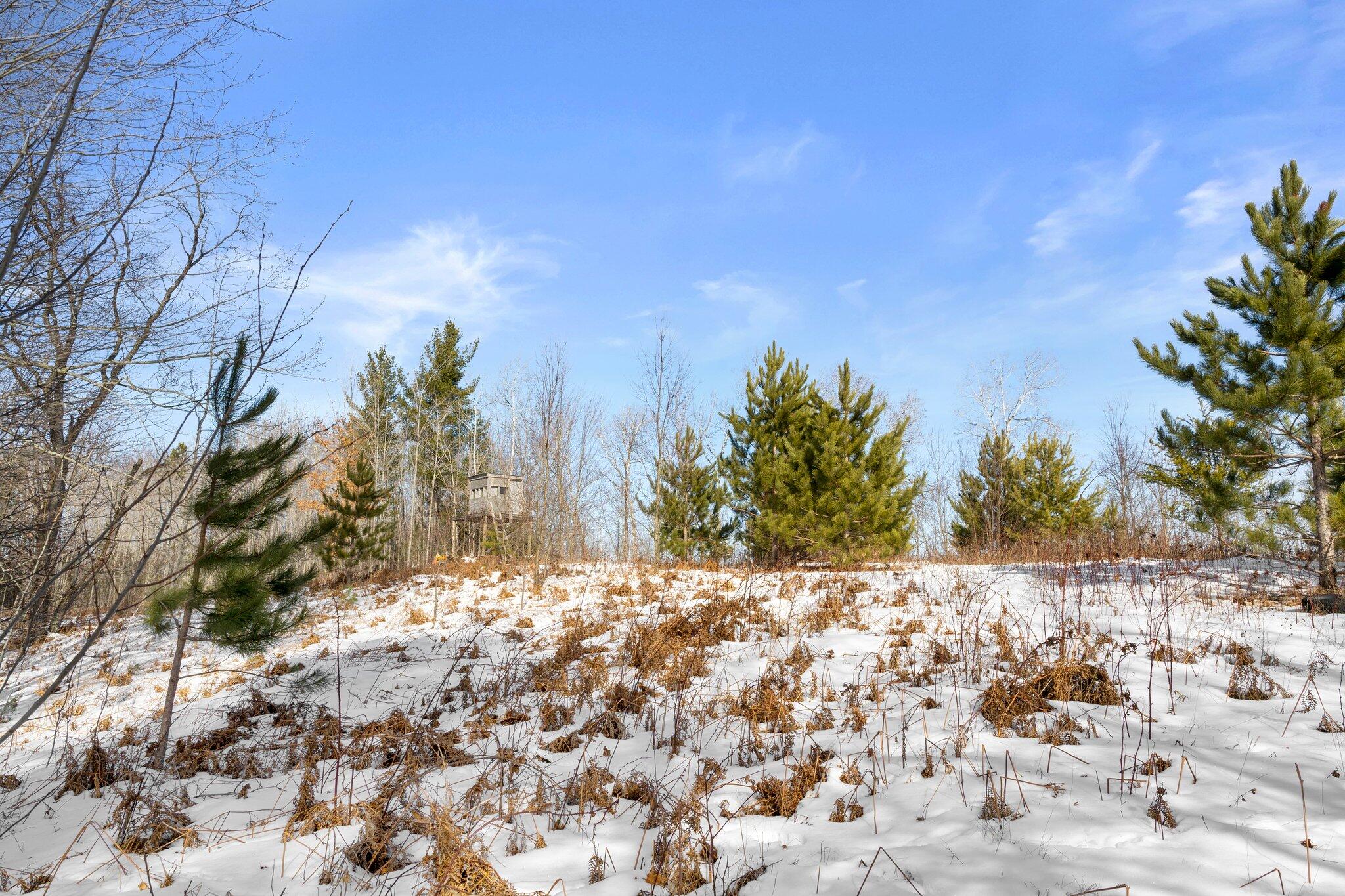 5157 East 12 1/2 Road Manton, MI 49663 - Photo 22 of 25 22-web-or-mls-DSC03694