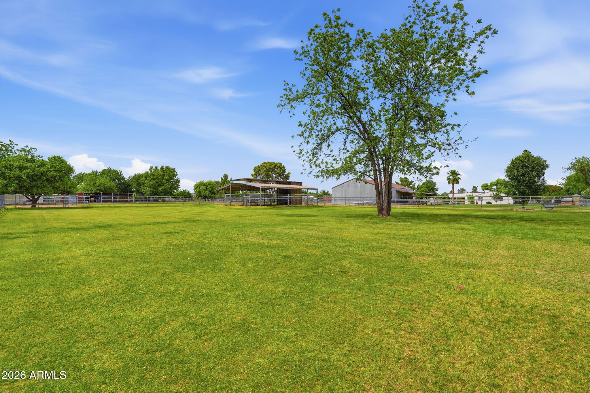 332 East Harrison Street Gilbert, AZ 85295 - Photo 83 of 101 a view of a green field with trees in the background