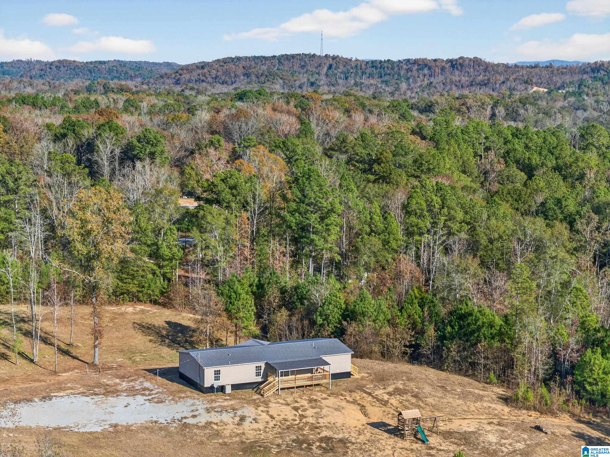 3350 Peeks Hill Road Ohatchee, AL 36271 - Photo 7 of 41 Gallery Image 7