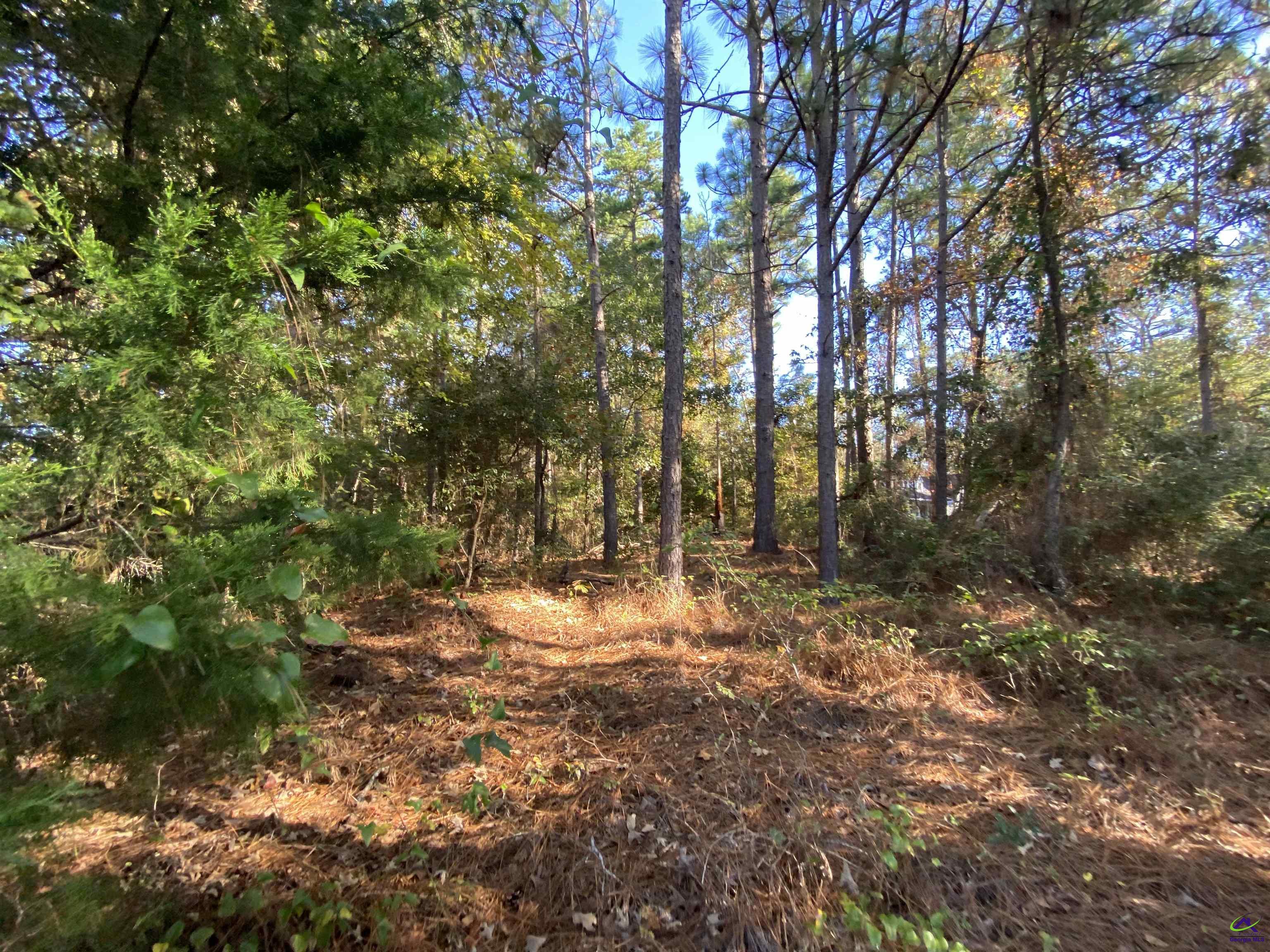 14-17 Mac Thompson Road Cochran, GA 31014 - Photo 20 of 26