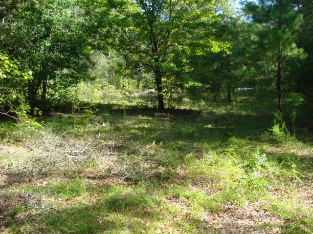 Lot 5 Lutterloh Road Tallahassee, FL 32305 - Photo 1 of 1 Gallery Image 1