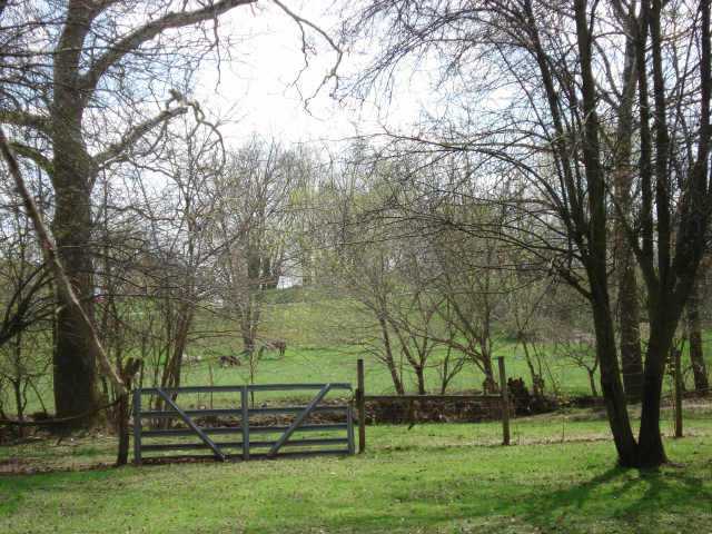 Gallery Image 7