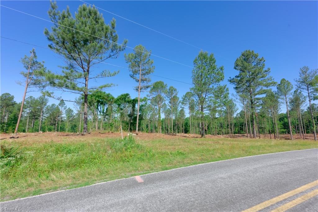 0 Carson Road Cleveland, NC 27013 - Photo 2 of 17