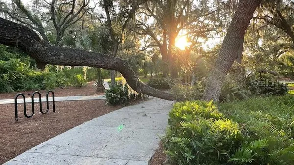 $2,900 | 14321 Azalea Pond Court, Lithia, FL 33547