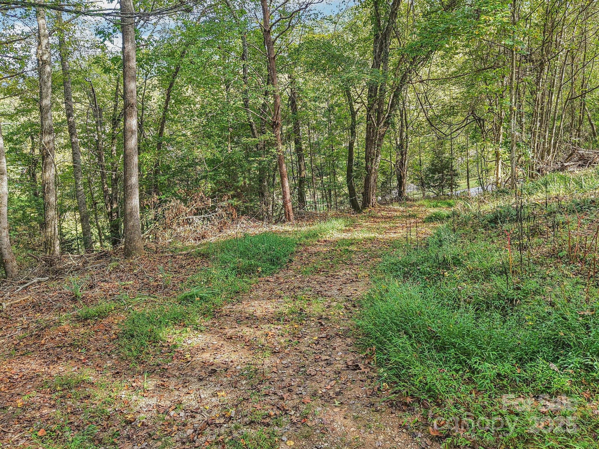 Tbd Upper Glady Fork Road Candler, NC 28715 - Photo 2 of 11