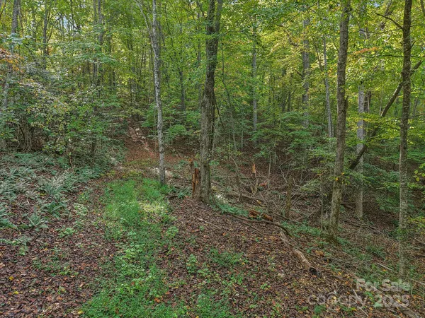 $279,000 | Tbd Upper Glady Fork Road, Candler, NC 28715