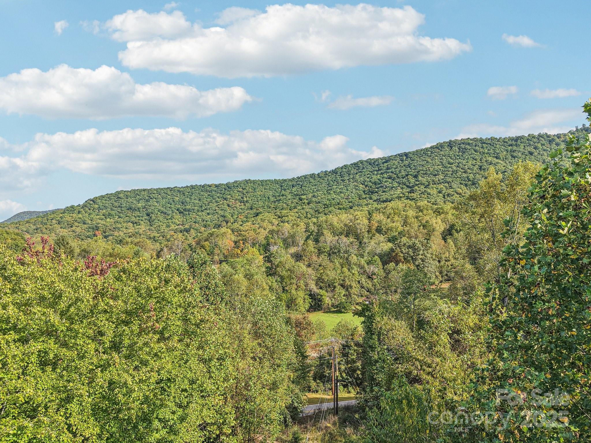 Tbd Upper Glady Fork Road Candler, NC 28715 - Photo 5 of 11