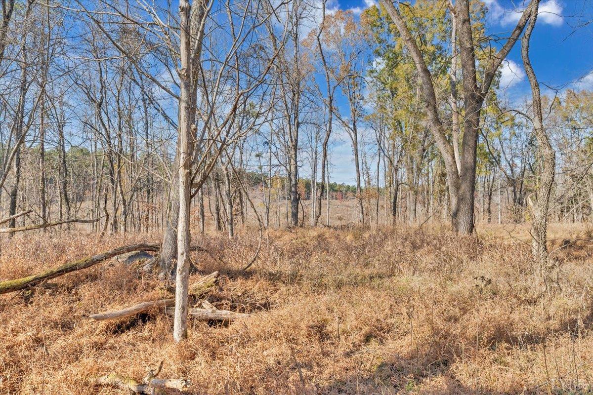 5050 Falkland Road Scottsburg, VA 24589 - Photo 66 of 97