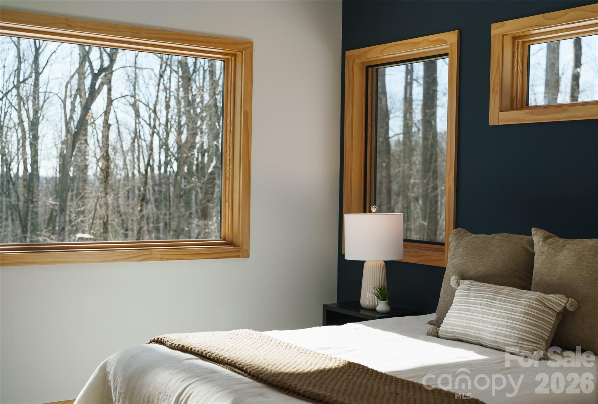 584 Spring Brook Lane Brevard, NC 28712 - Photo 21 of 48