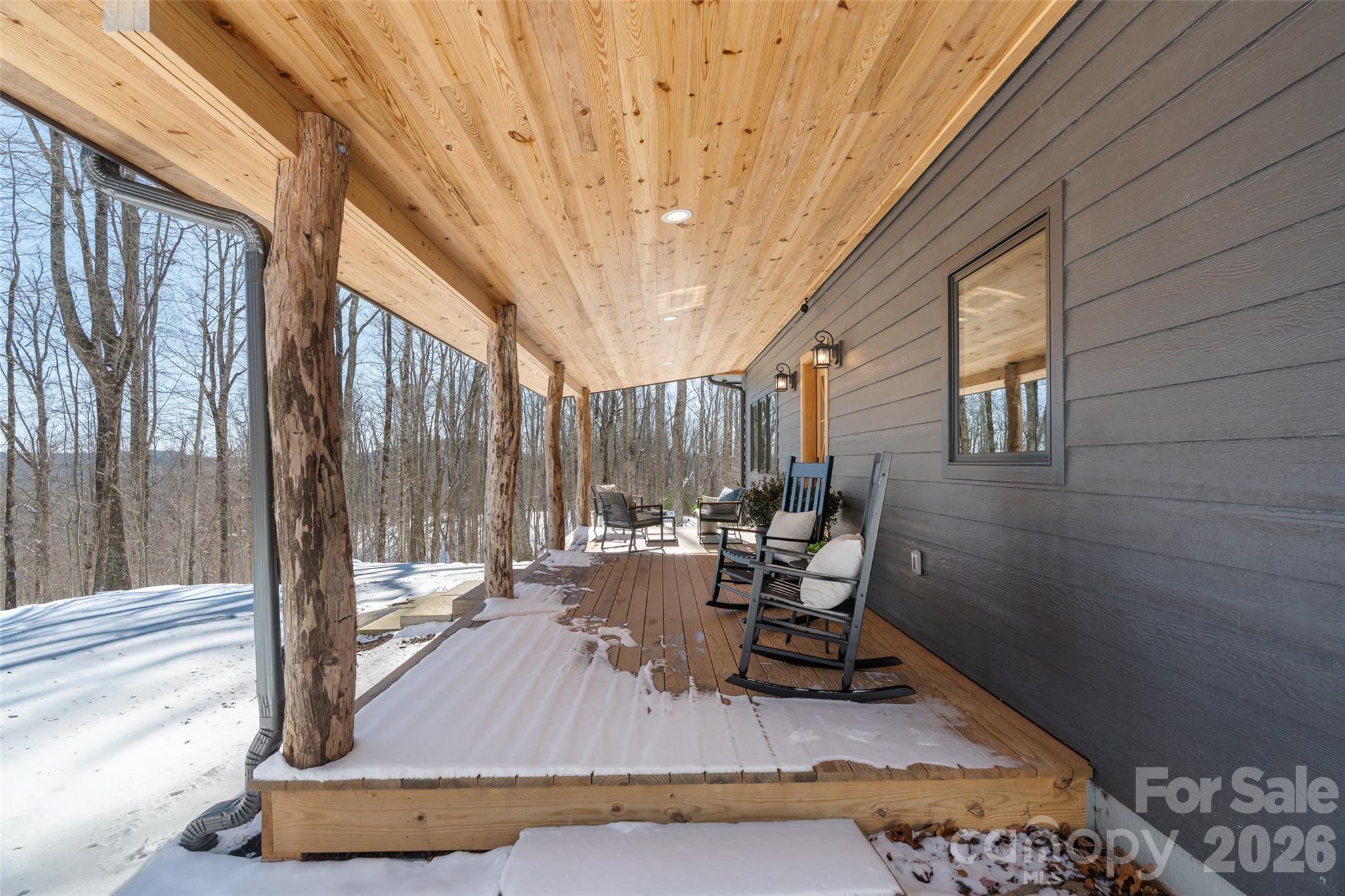 584 Spring Brook Lane Brevard, NC 28712 - Photo 39 of 48