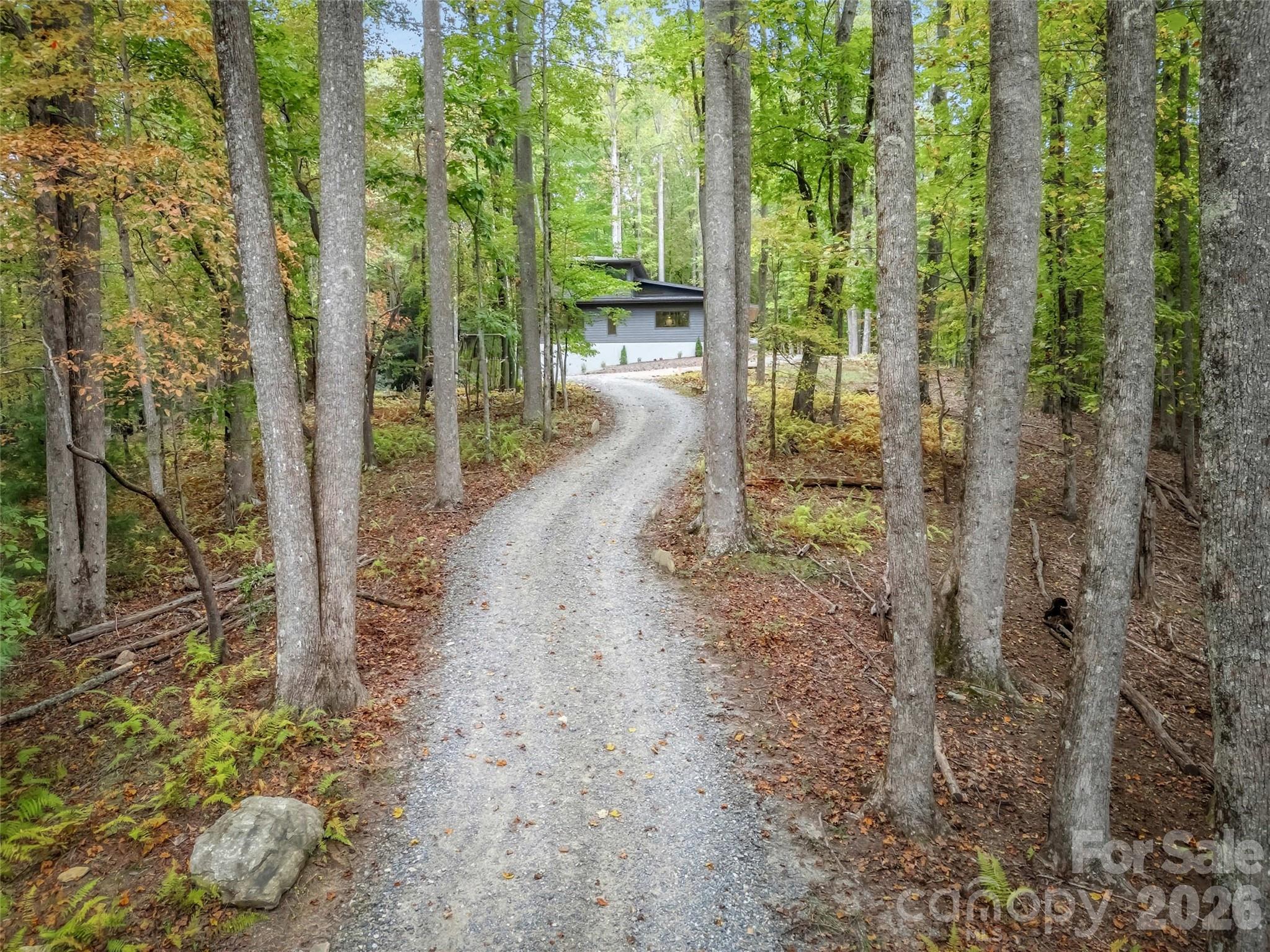 584 Spring Brook Lane Brevard, NC 28712 - Photo 43 of 48