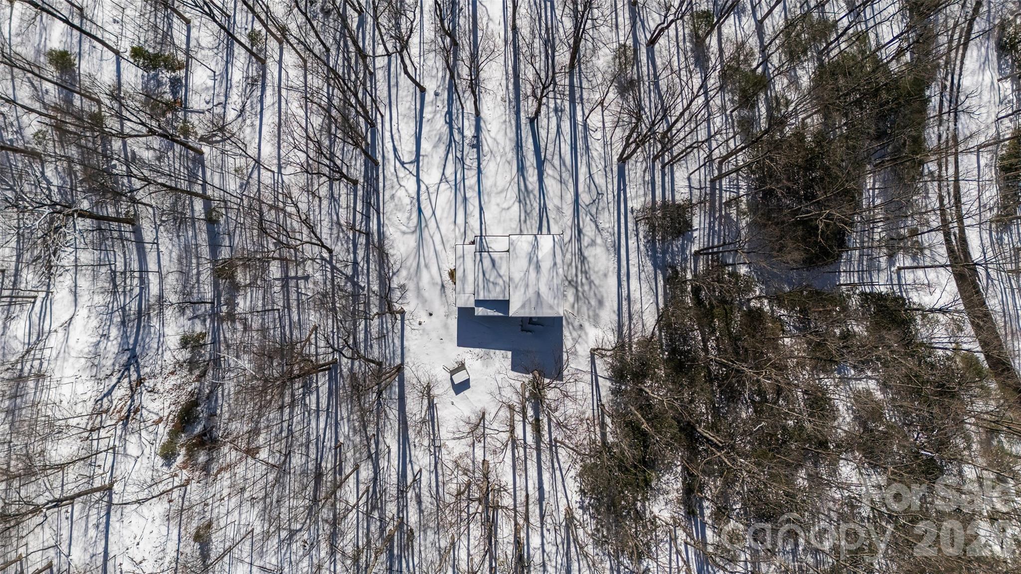 584 Spring Brook Lane Brevard, NC 28712 - Photo 46 of 48