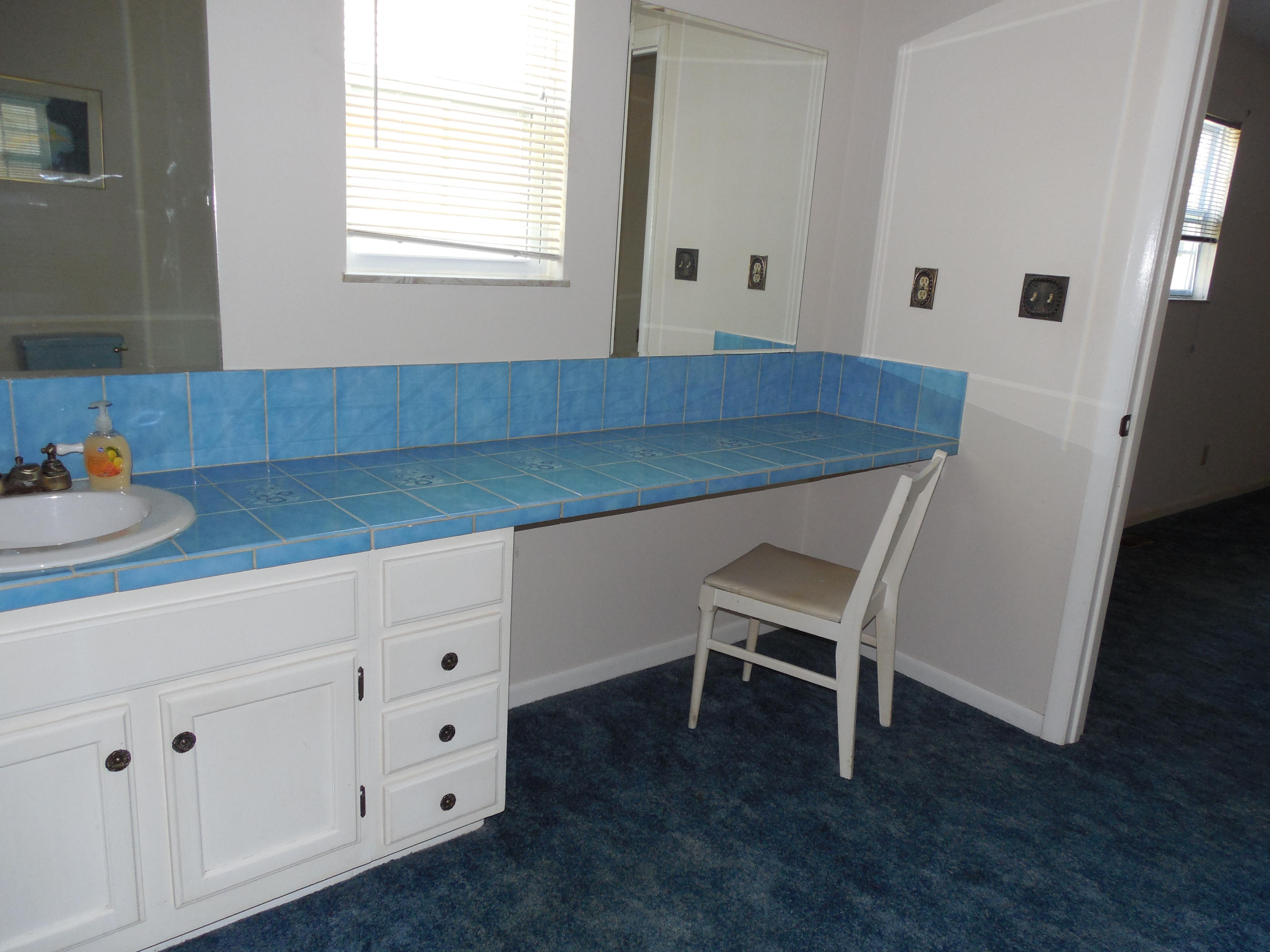 912 Olive Road Knoxville, TN 37934 - Photo 8 of 12 Large master bathroom