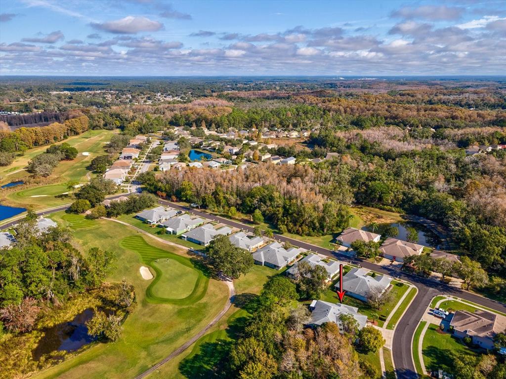 11723 Foxworth Lane New Port Richey, FL 34654 - Photo 34 of 64