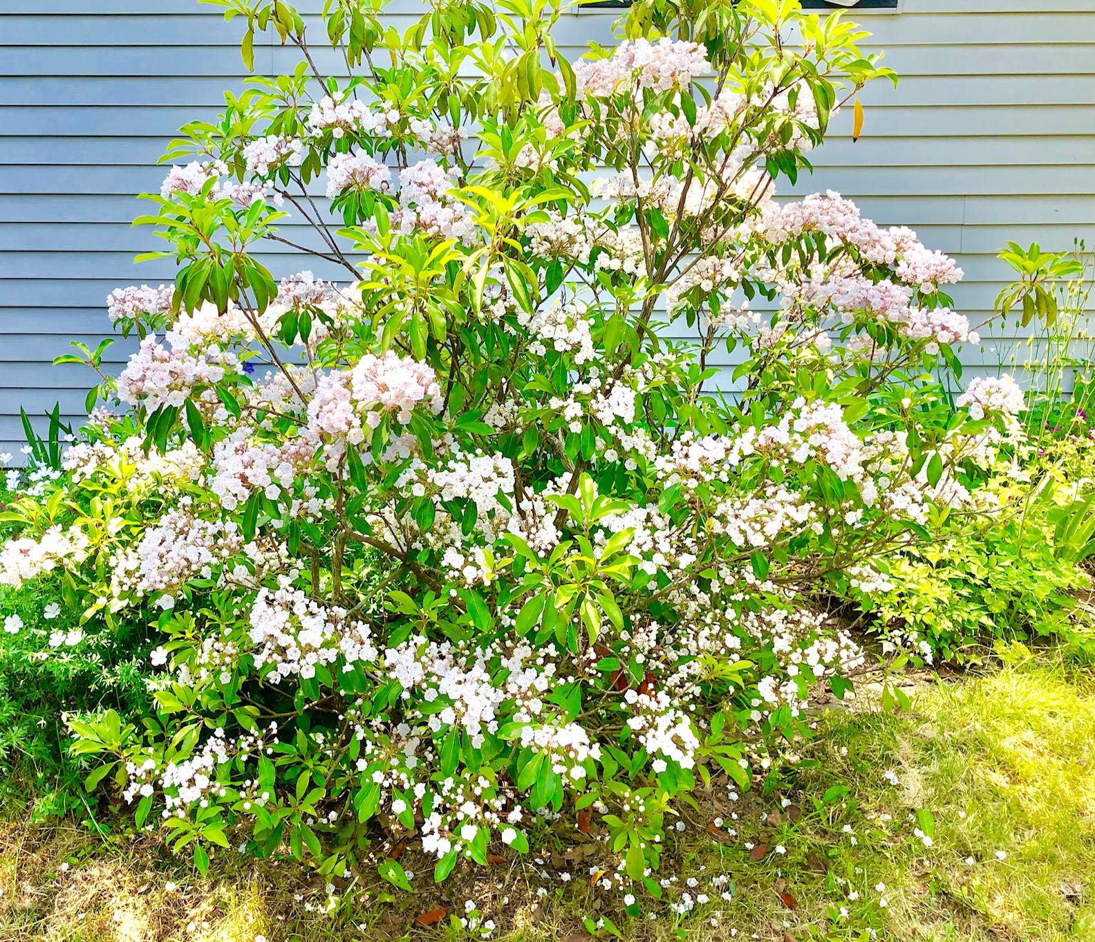 668 Bayside Road Ellsworth, ME 04605 - Photo 41 of 47 Garden area